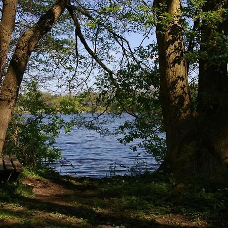 Fewo Am See 15A Klein Wittensee Exterior foto