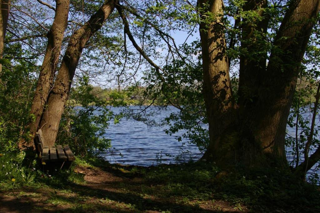Fewo Am See 15A Klein Wittensee Exterior foto